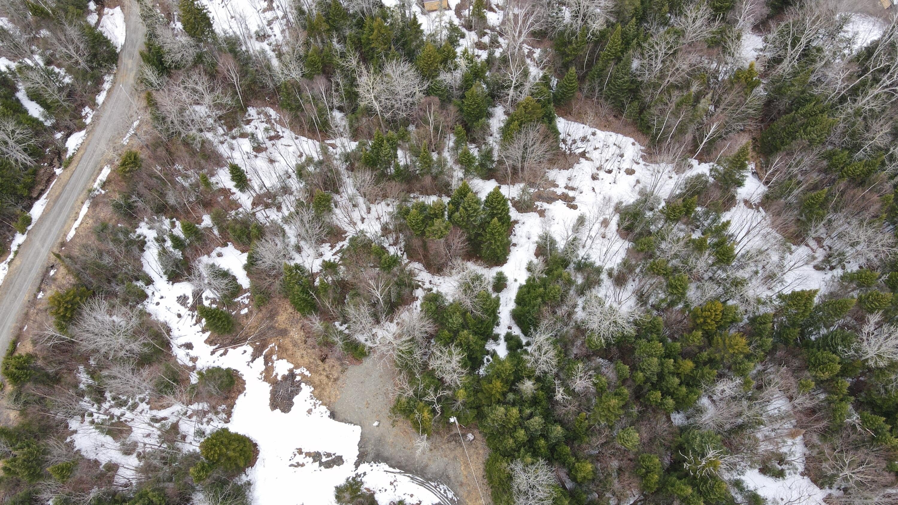 Other - Margaret Lane lot: 8, Rangeley Plt, ME