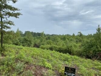 Single Family - 484 Road 1253 (lot 4), Saltillo, MS