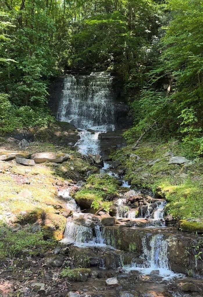 Other - Azalea Creek Rd lot: 23, Bryson City, NC
