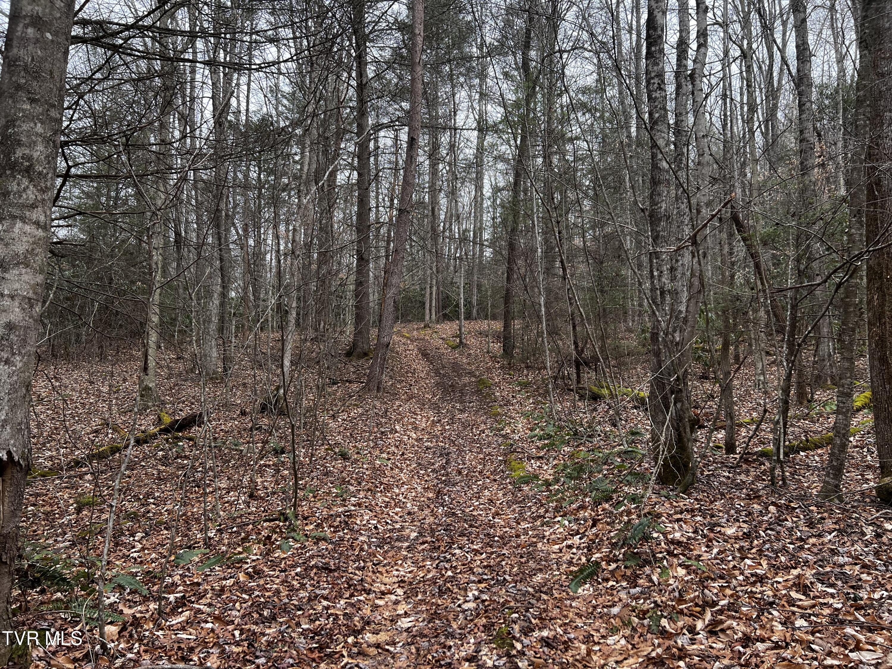 Other - 22.83/Ac Tbd Sciota Road, Elizabethton, TN