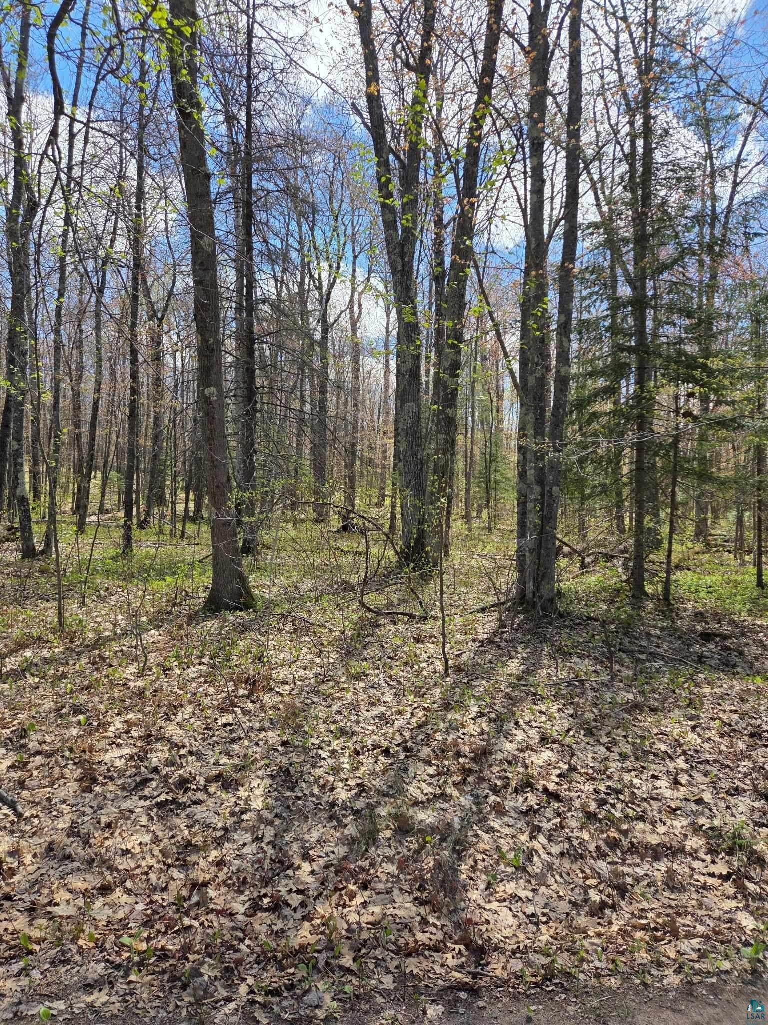 Other - 17--- Short Cut Rd, Herbster, WI