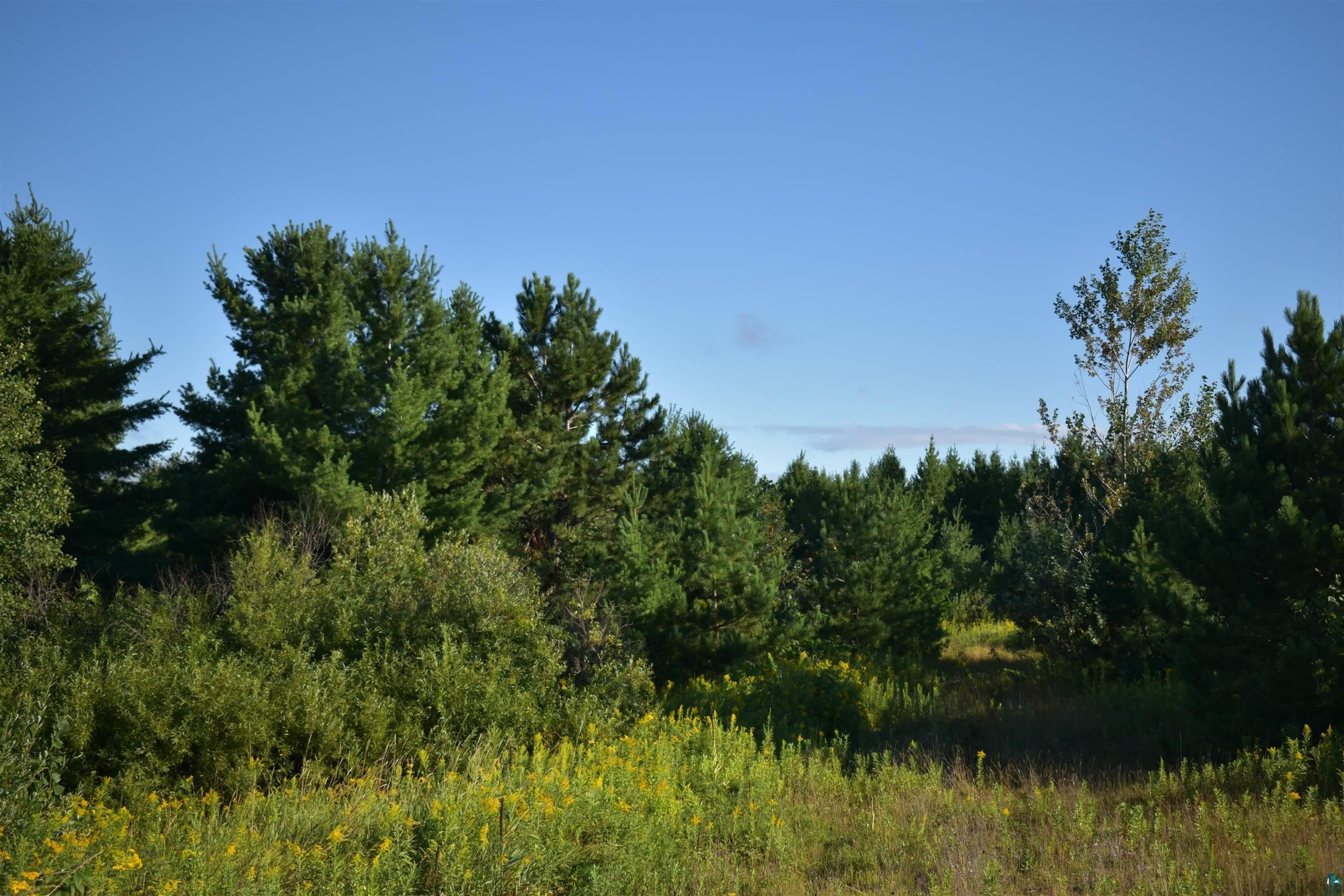 Single Family - 30210 Wannebo Rd, Washburn, WI