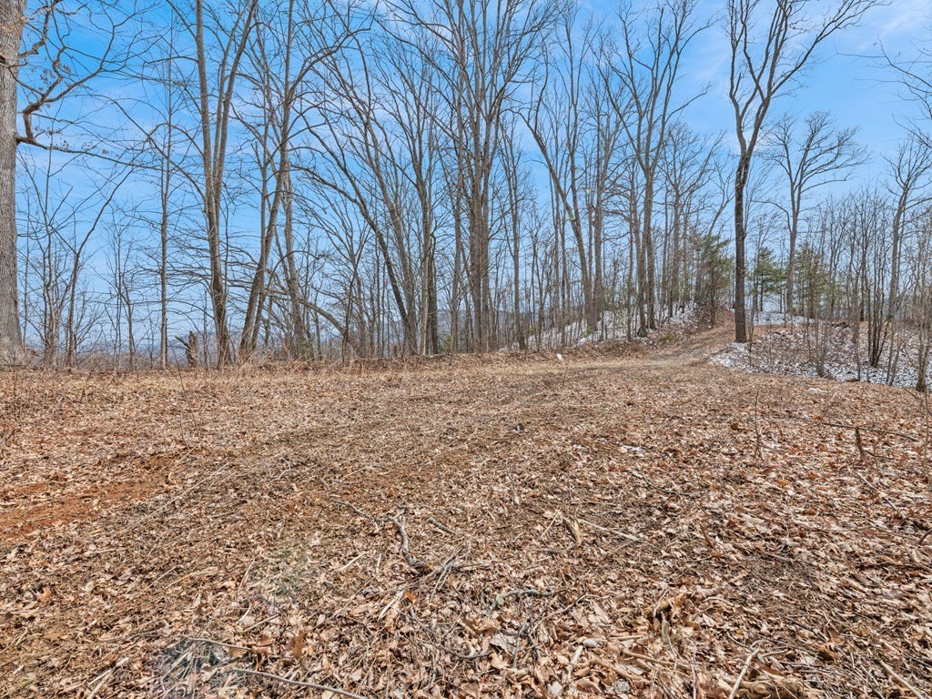 Other - #3 Viewpoint Mountain, Waynesville, NC