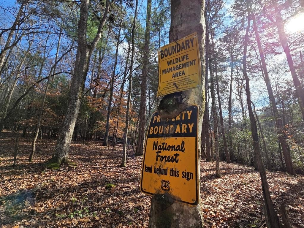 Other - Lot 10 Wildcat Creek, Suches, GA