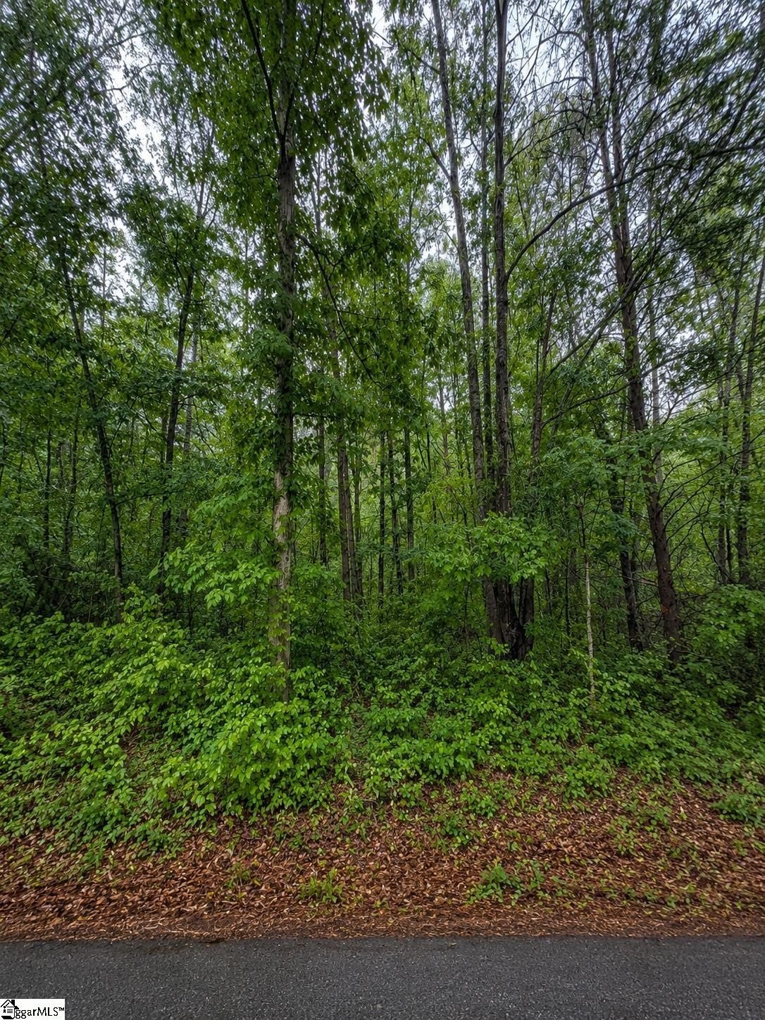 Other - Valley Road lot: 1, Travelers Rest, SC