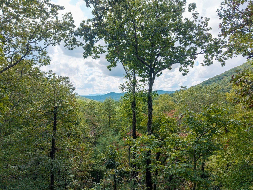 Other 2BR 1BA - 205 Copper Mountain Drive, MURPHY, NC