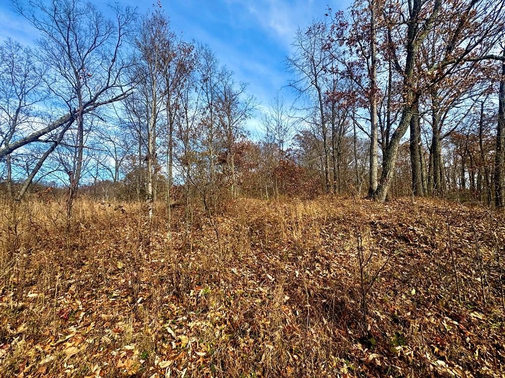 Other - 00 129-00-00-051.00 Ridgeline Road, Raccoon, KY
