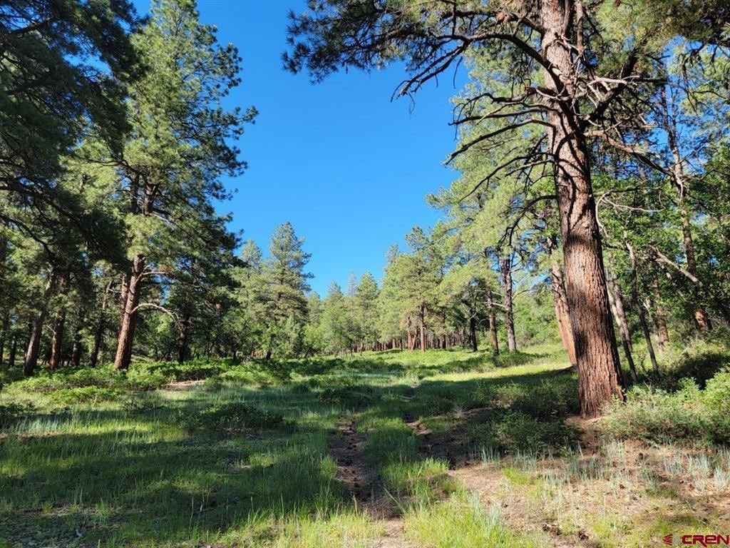 Other - Catchpole Drive, Pagosa Springs, CO