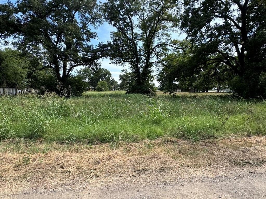 Plots and Land - Tbd Farm Road 196, Pattonville, TX