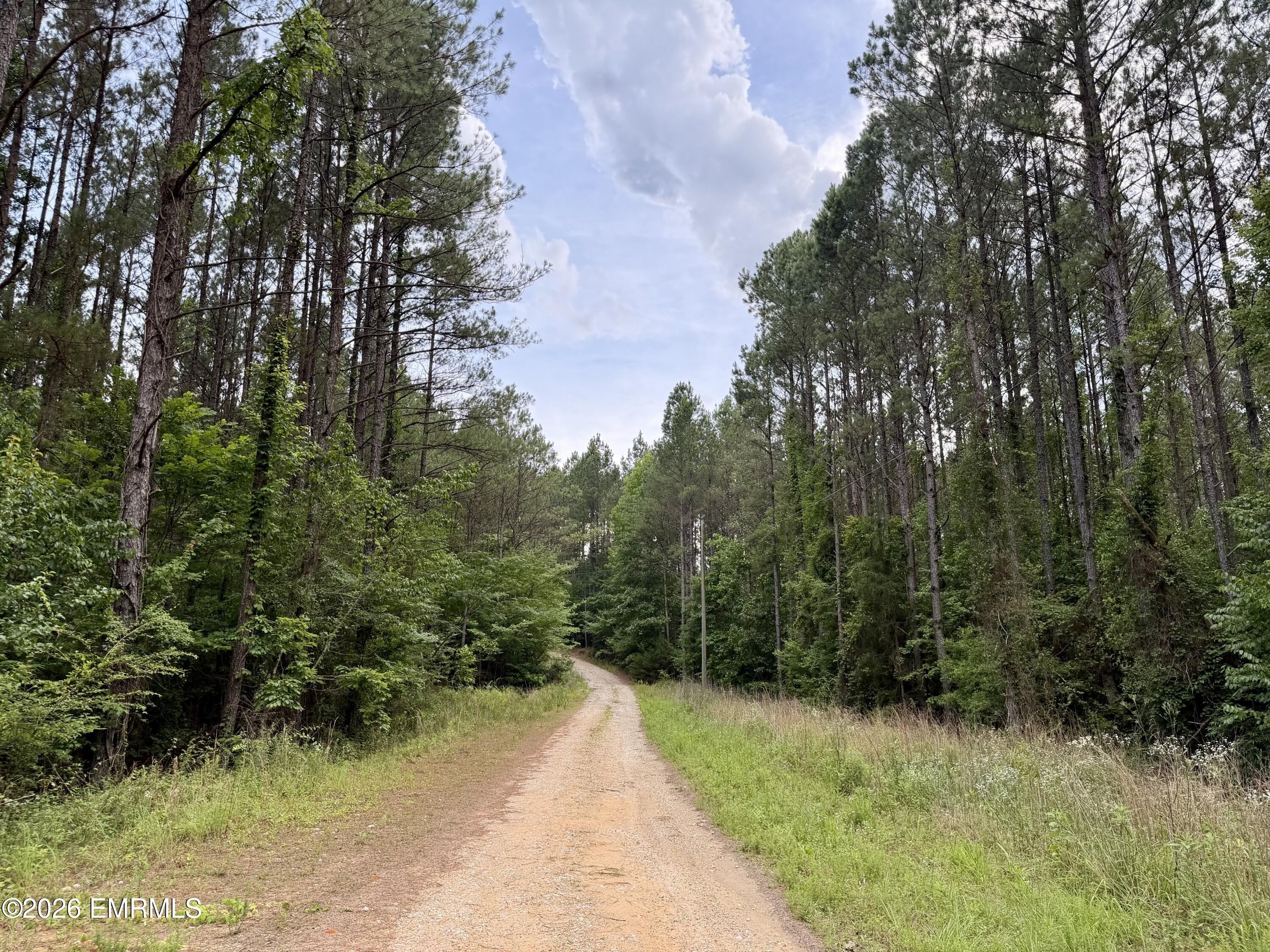 Other - Cow Creek Road, Meridian, MS