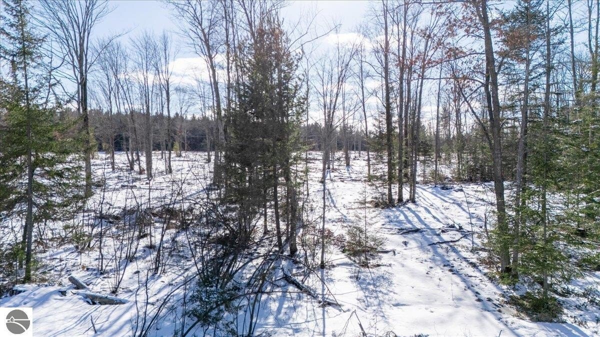 Other - 4457 E W Branch Road, Prudenville, MI