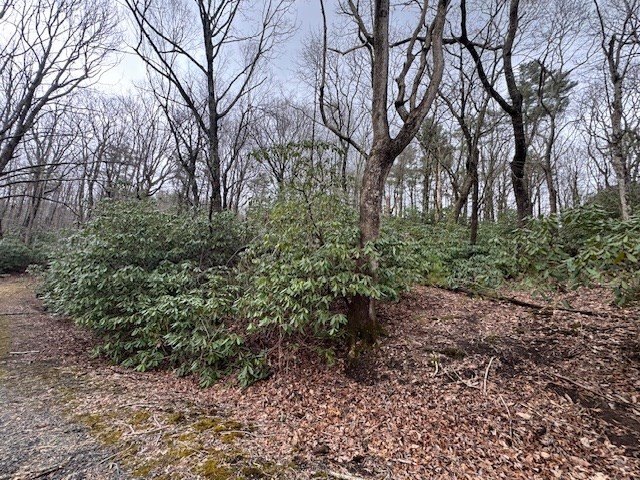 Other - Crooked Creek Lane lot: 124-127A, Fancy Gap, VA