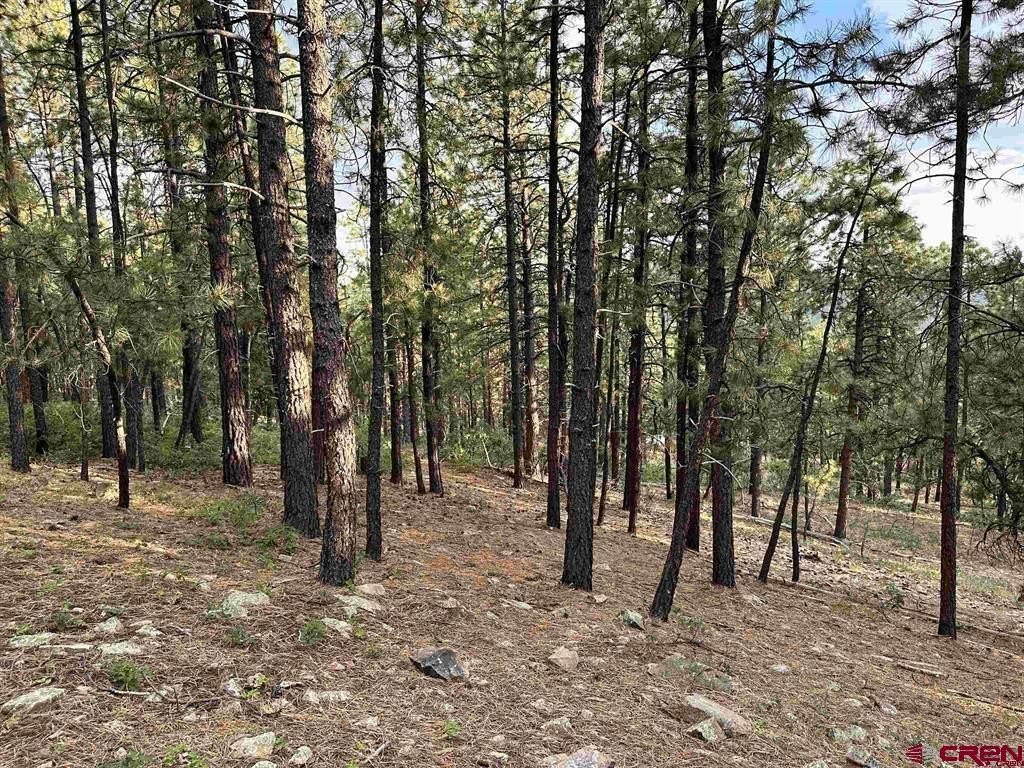 Other - 259 Hillside Circle, Bayfield, CO