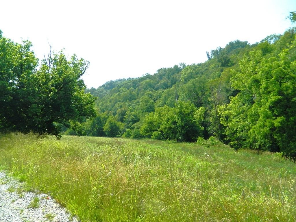 Single Family 1BR 1BA - 15694 State Highway 194 West, Pikeville, KY