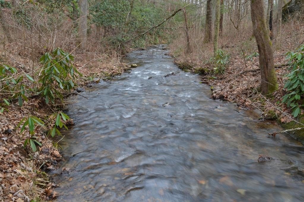 Other - 18 & 19 Sarvis Road, Hayesville, NC