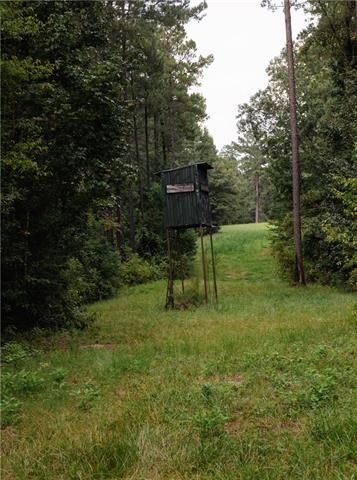 Other - HWY 1199 lot: 0, Elmer, LA