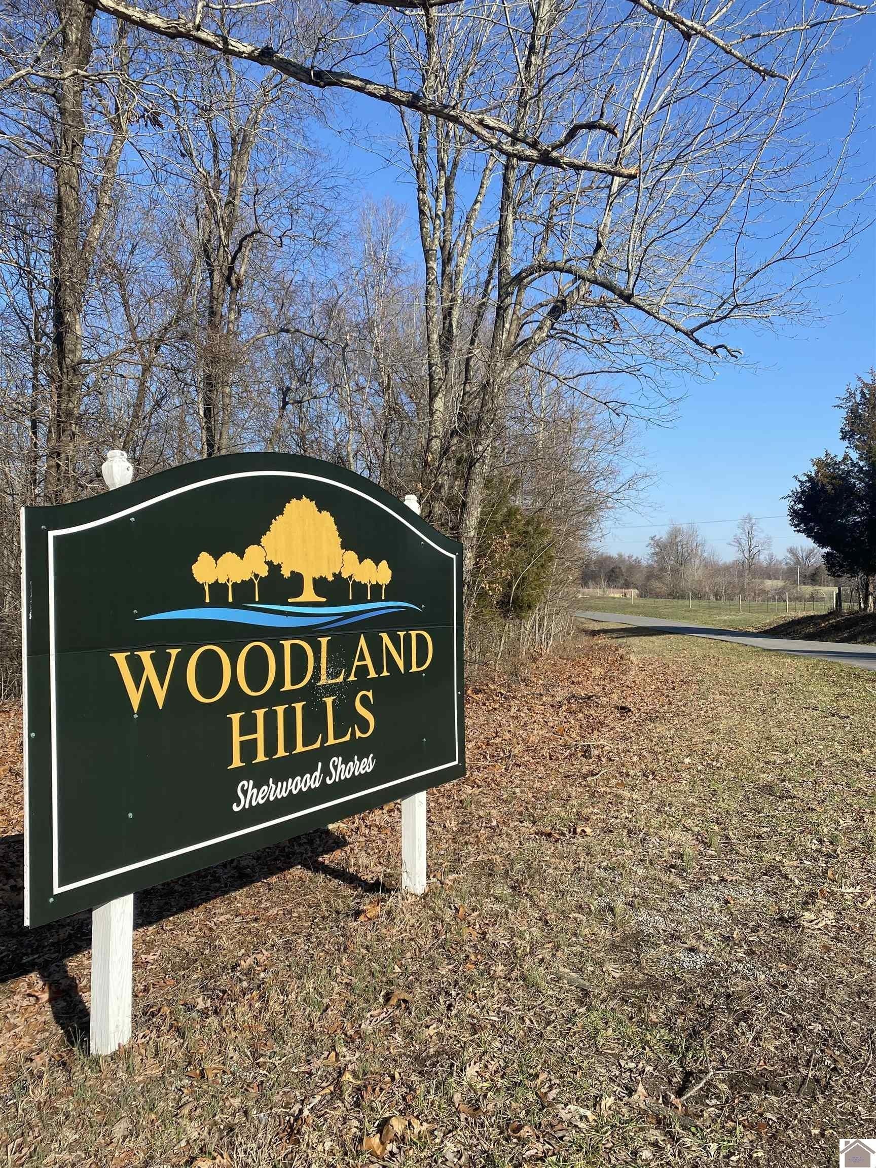 Other - Lot 193 Woodland Hills, Cadiz, KY