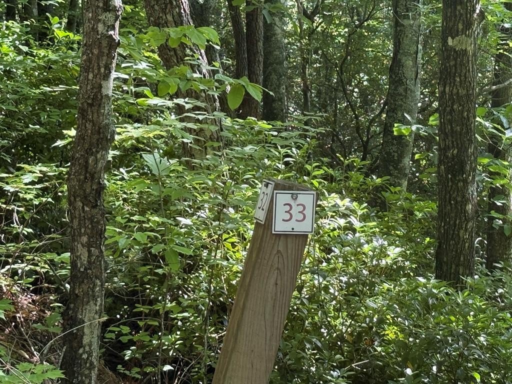 Other - Lot 33 Fodder Creek Mill Drive, HIAWASSEE, GA