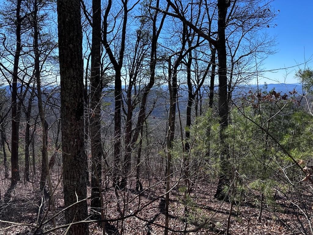 Other - 246 Andes Ridge, Ellijay, GA