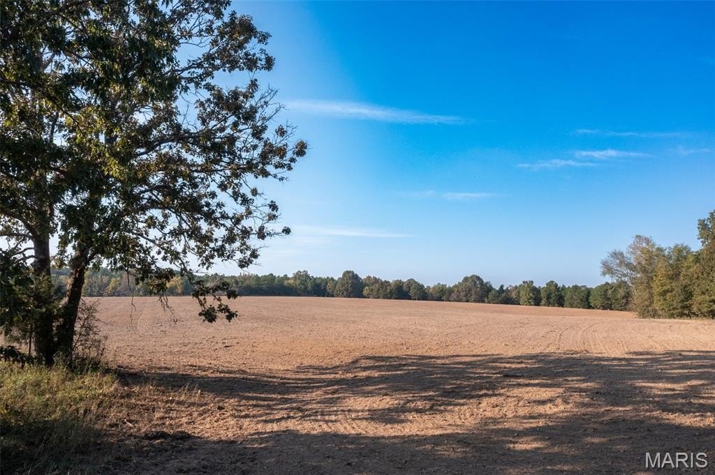 Plots and Land - 0 Off BCR 810, Glen Allen, MO