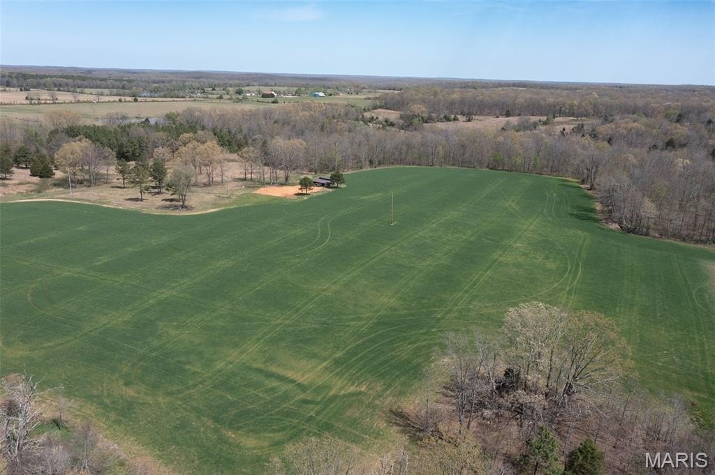 Plots and Land - 0 Off BCR 810, Glen Allen, MO