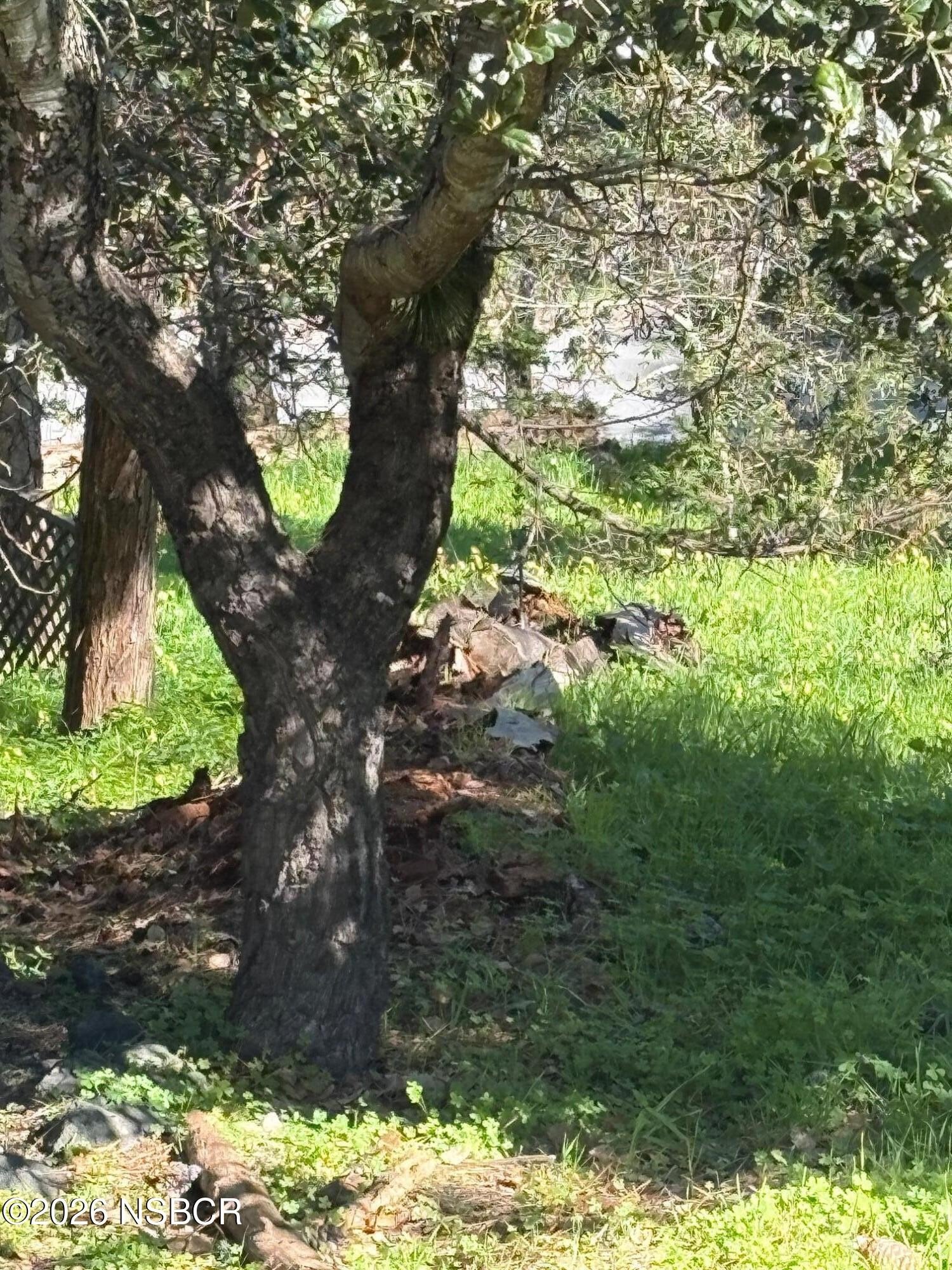 Single Family - Spencer Street, Cambria, CA