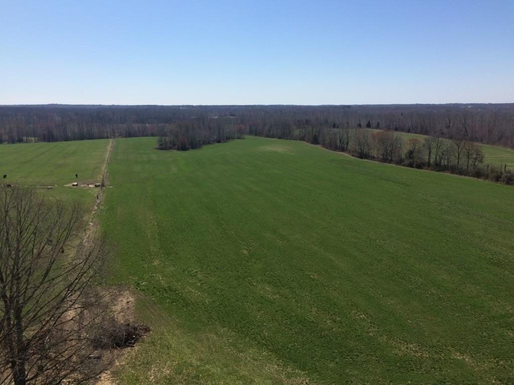 Other - SULPHUR CREEK RD, BIG SANDY, TN