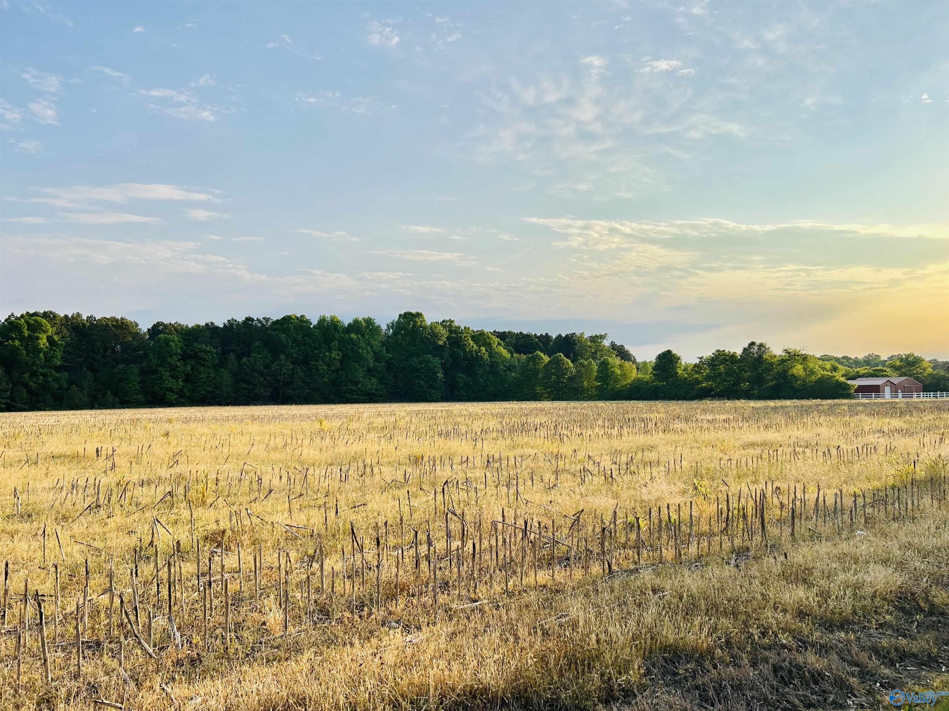 24 Acres Sewell Rd  