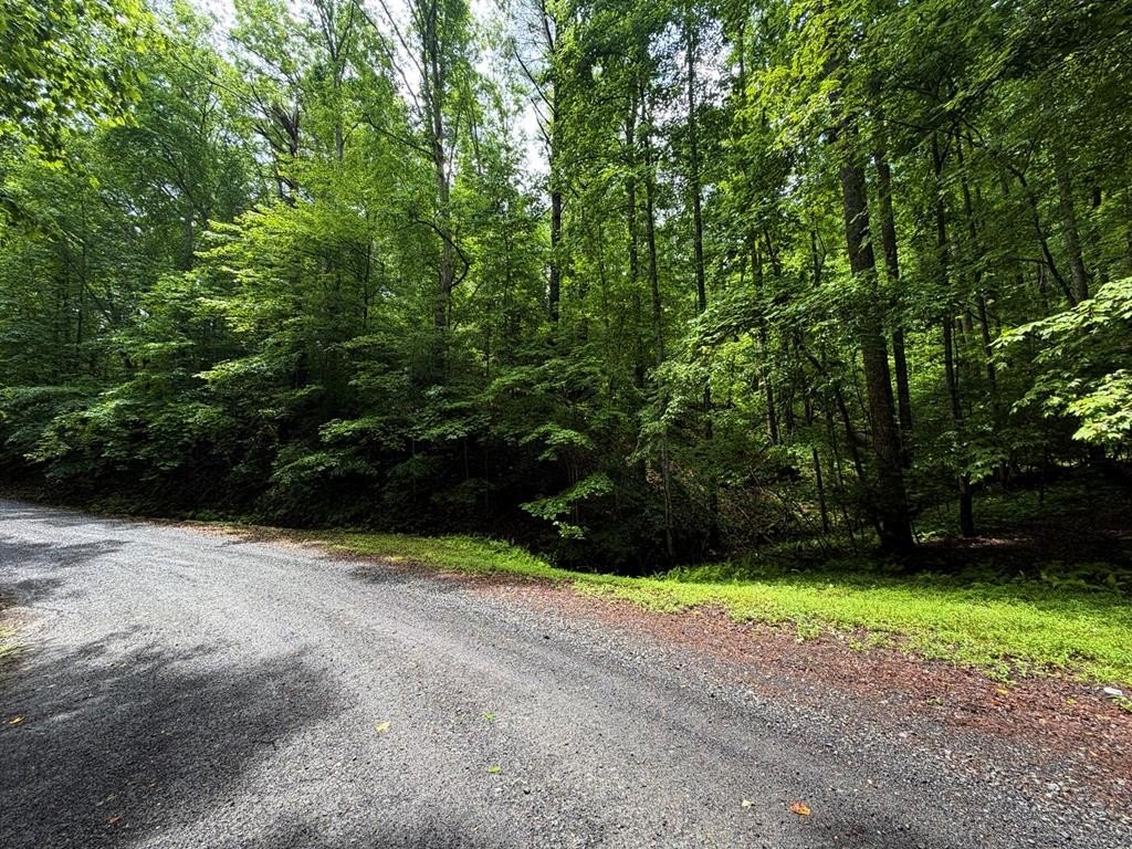 Other - LT 144 Alcan Way, Ellijay, GA