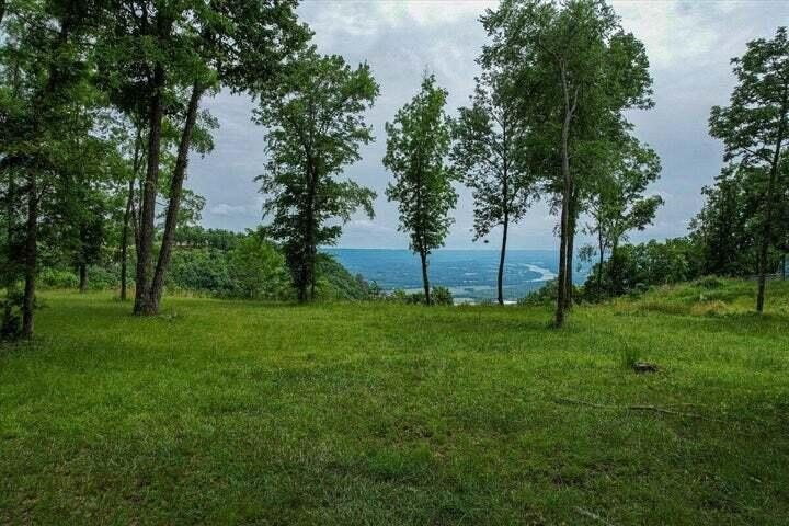 Other - 640 River Bluffs Drive, Jasper, TN