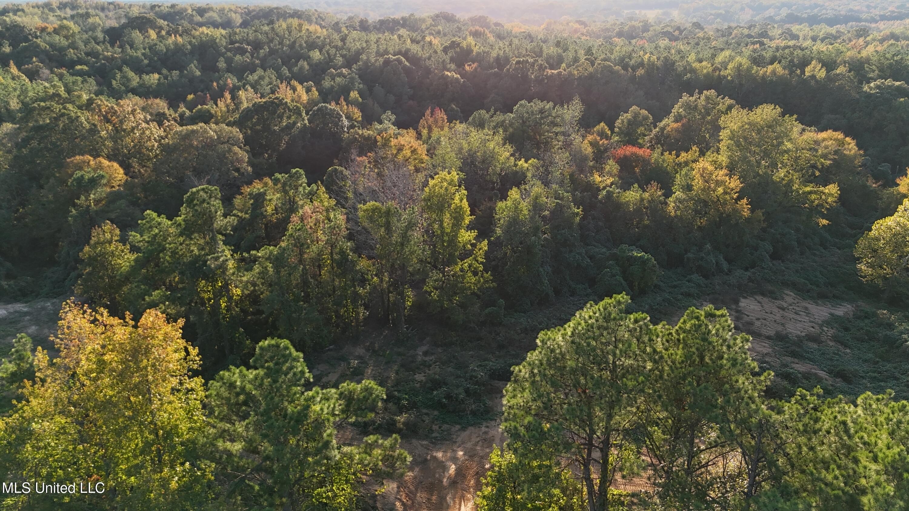 Single Family - 6 Tyro Branch Cove lot: 6, Senatobia, MS