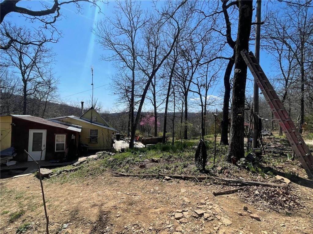 18995 Skylight Mtn RD