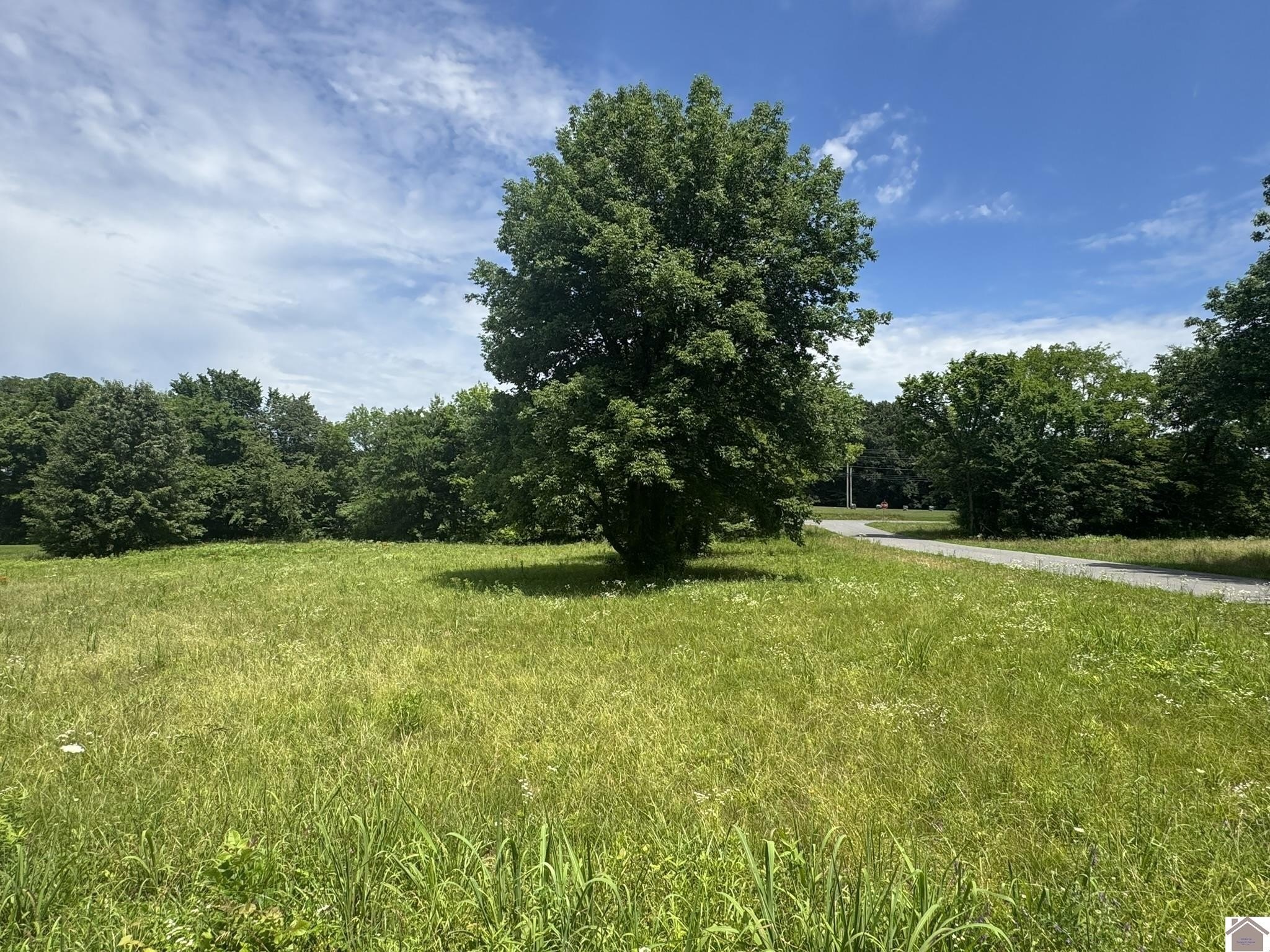 Other - Brentwood Dr lot: 1 & 2, Paducah, KY