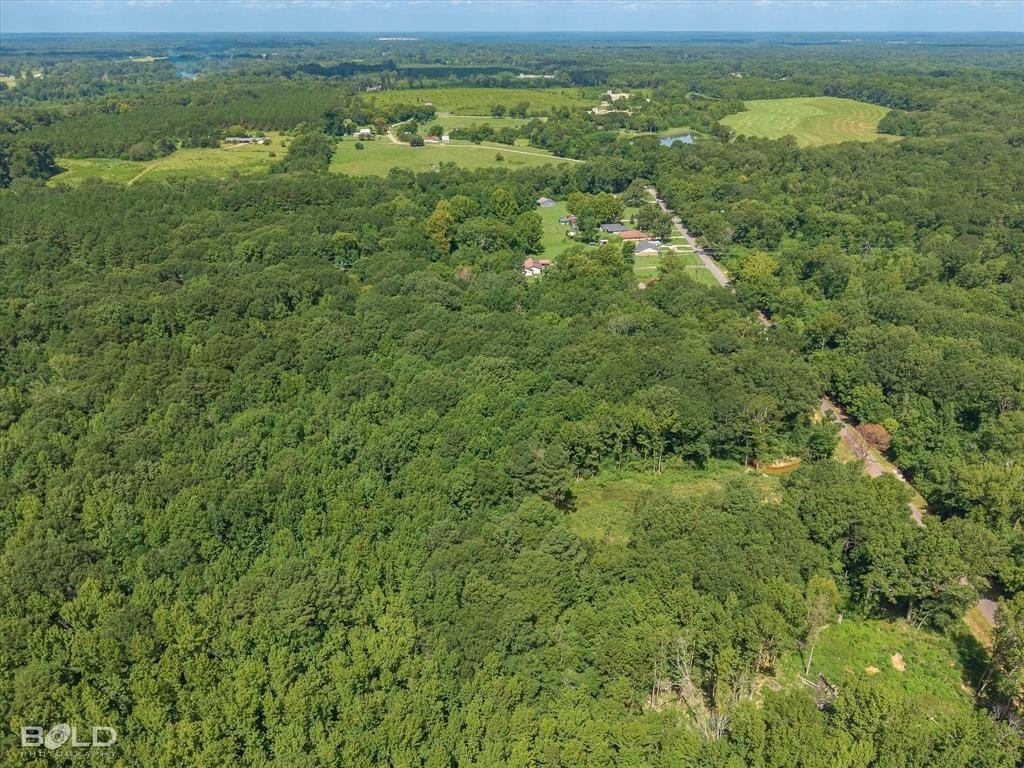 Plots and Land - 0 Bledsoe, Keithville, LA