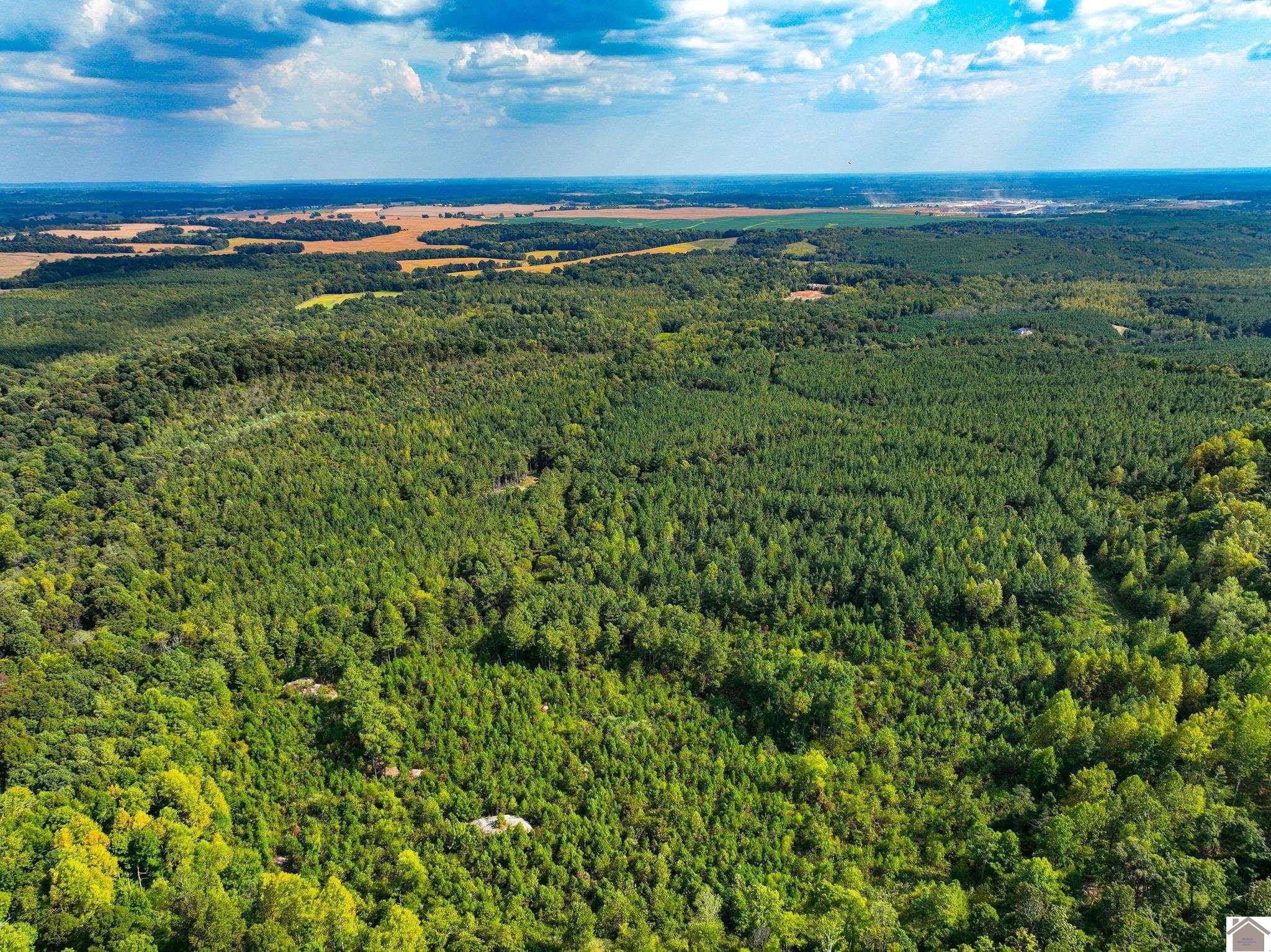 Plots and Land - 000 State Route 1433, Salem, KY