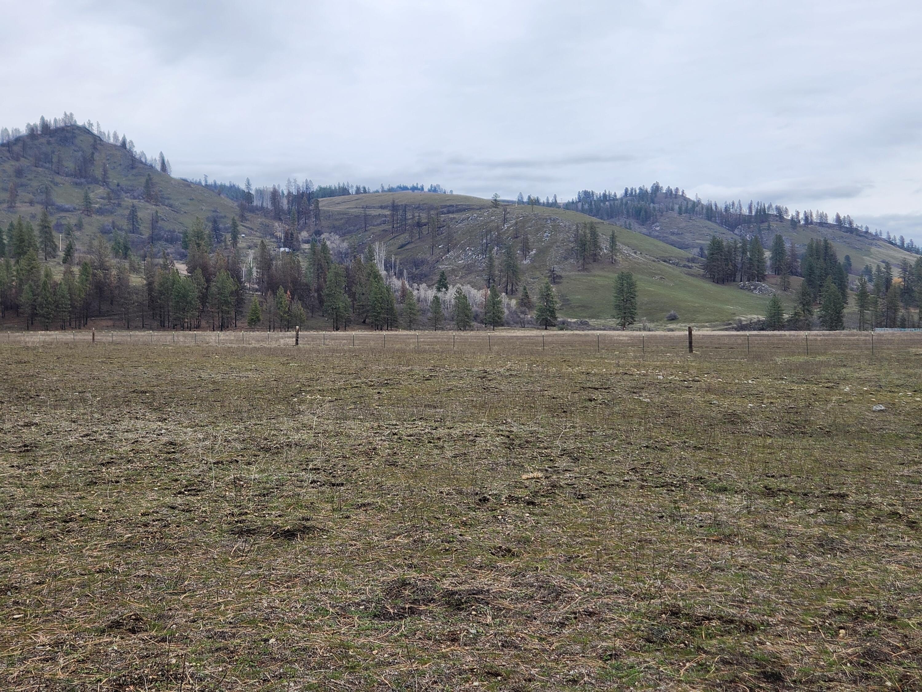 Other - 34XX NORTHPORT FLAT CREEK RD, KETTLE FALLS, WA