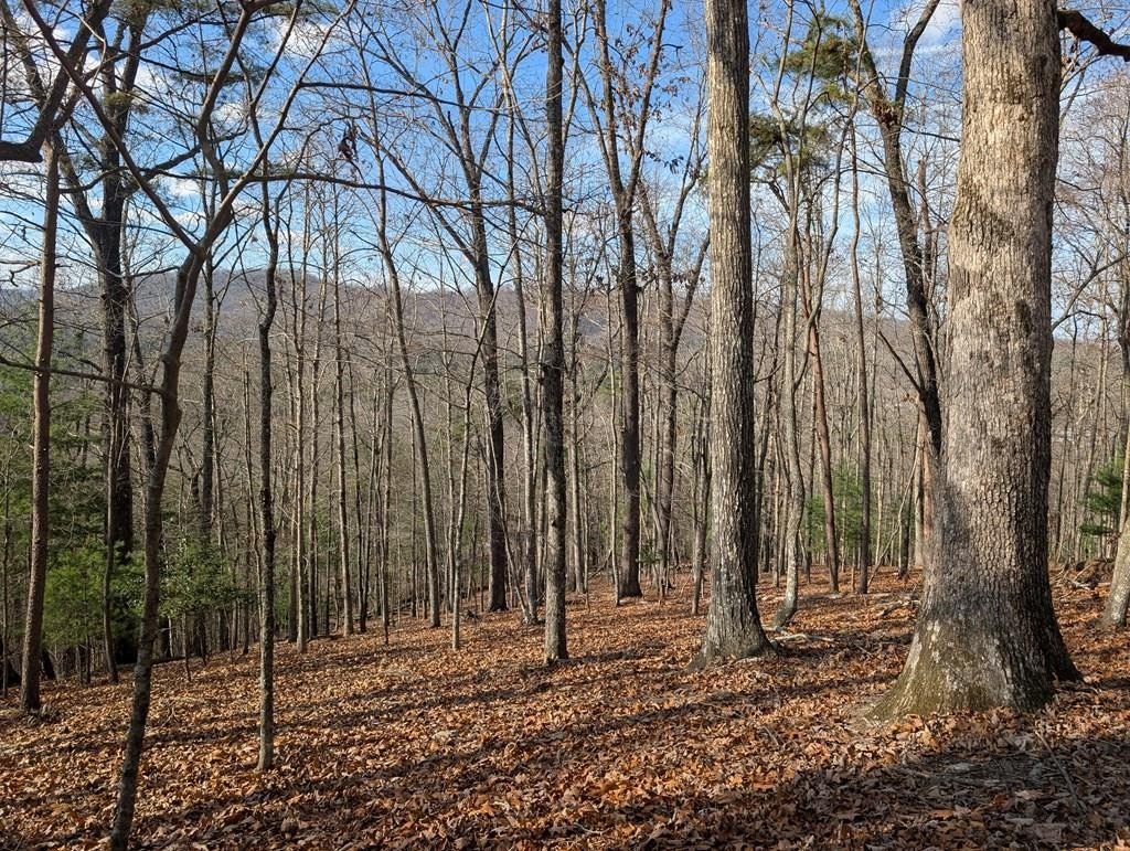 Other - 902 Mountain Top Drive, MURPHY, NC