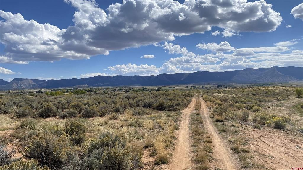 Other - Cactus Street, Cortez, CO
