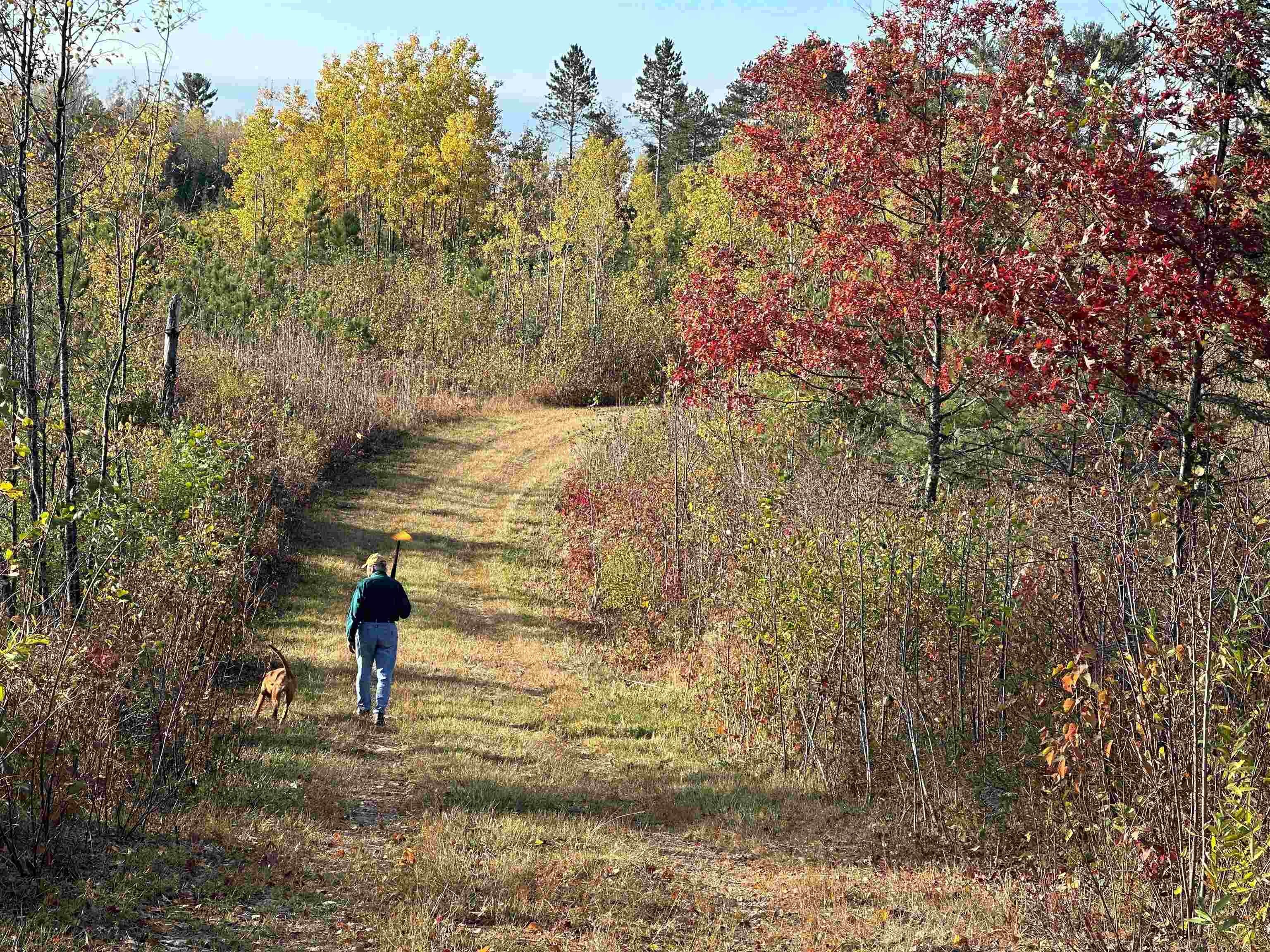 Other - Near ROCKY RUN ROAD, Harshaw, WI