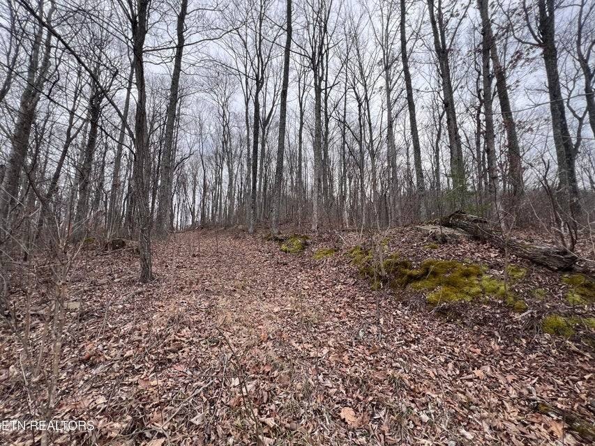 Other - Apache Rd, Jamestown, TN
