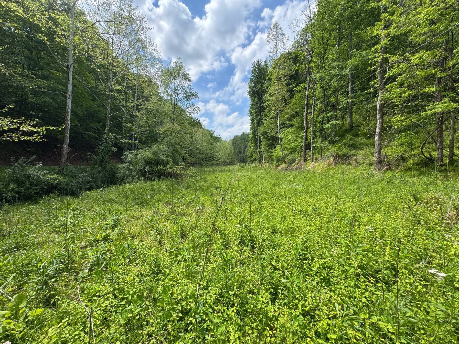 Other - Rush Run, Normantown, WV