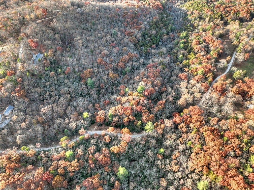 Other - Lot 11 Creek Camp Road, Ellijay, GA