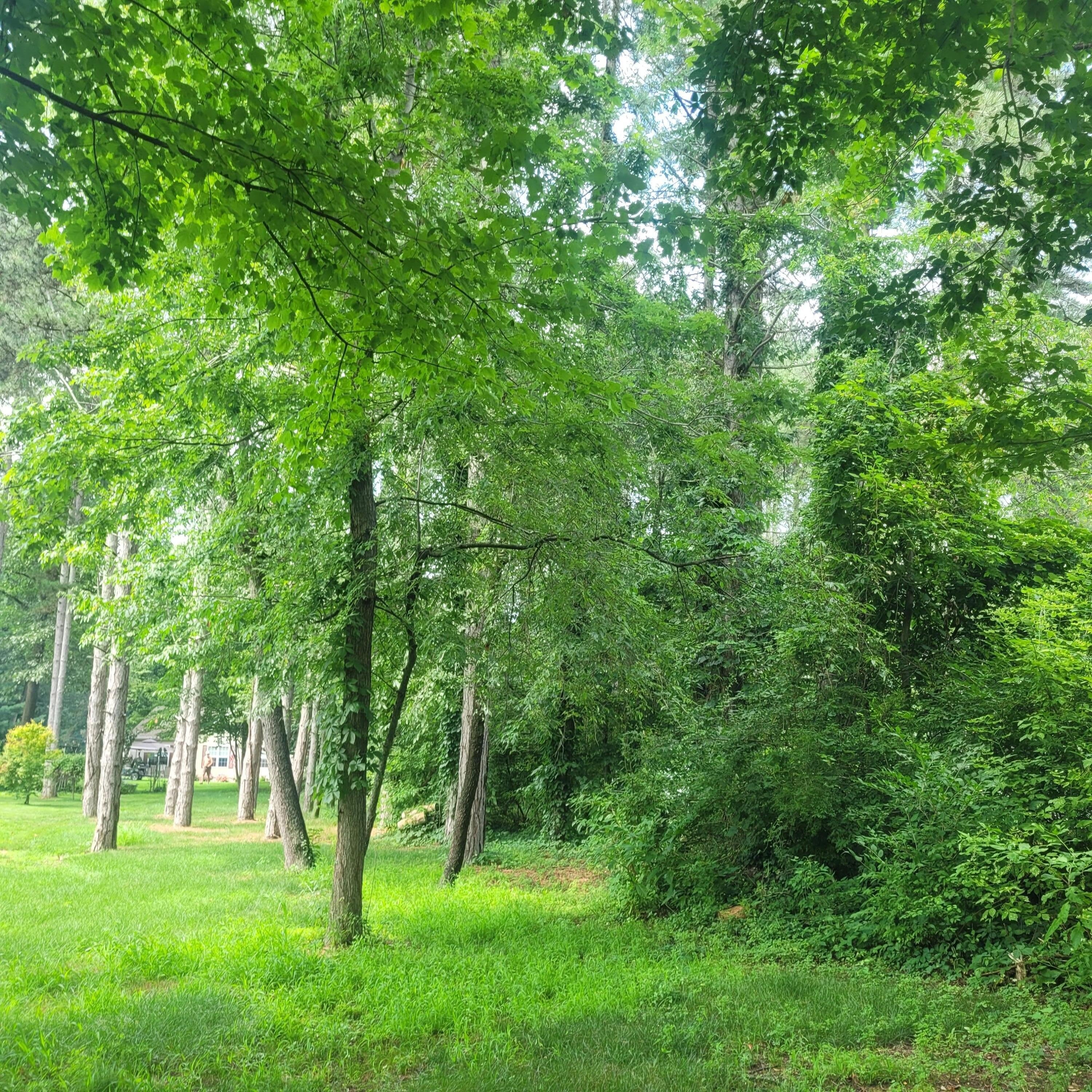 Single Family - 11348 Oakwood Drive, Jerome, MI