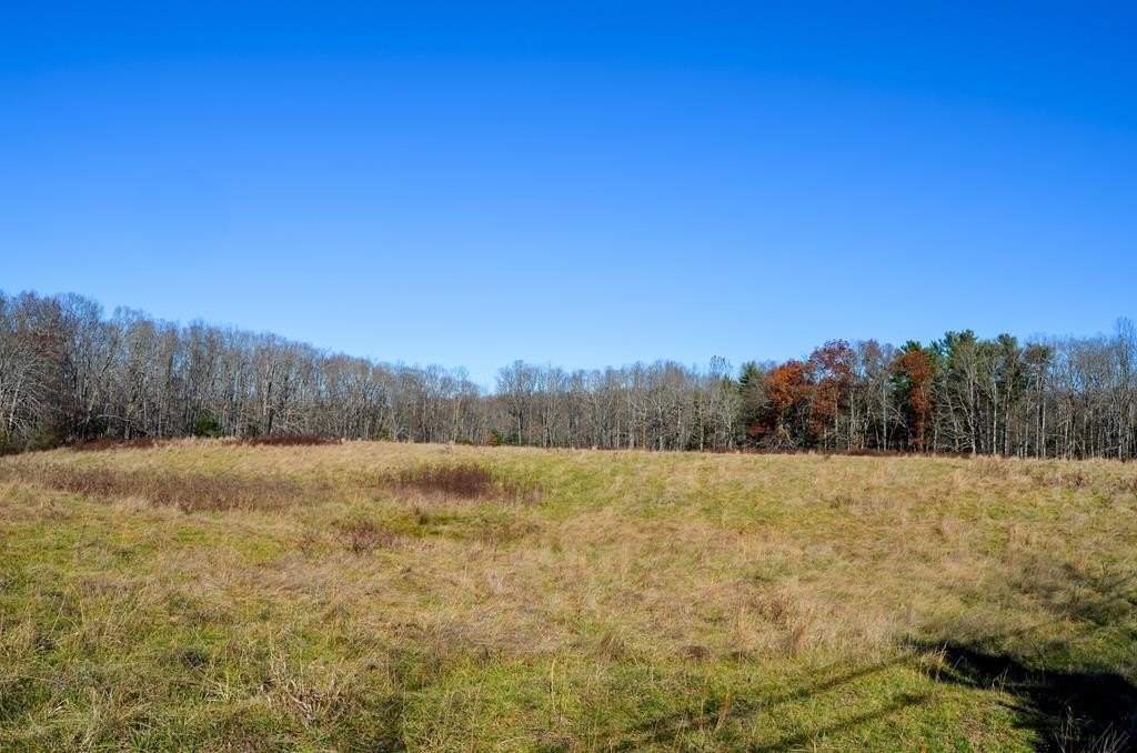 Other - Sparta Highway 31.65 +/- Acres, CROSSVILLE, TN