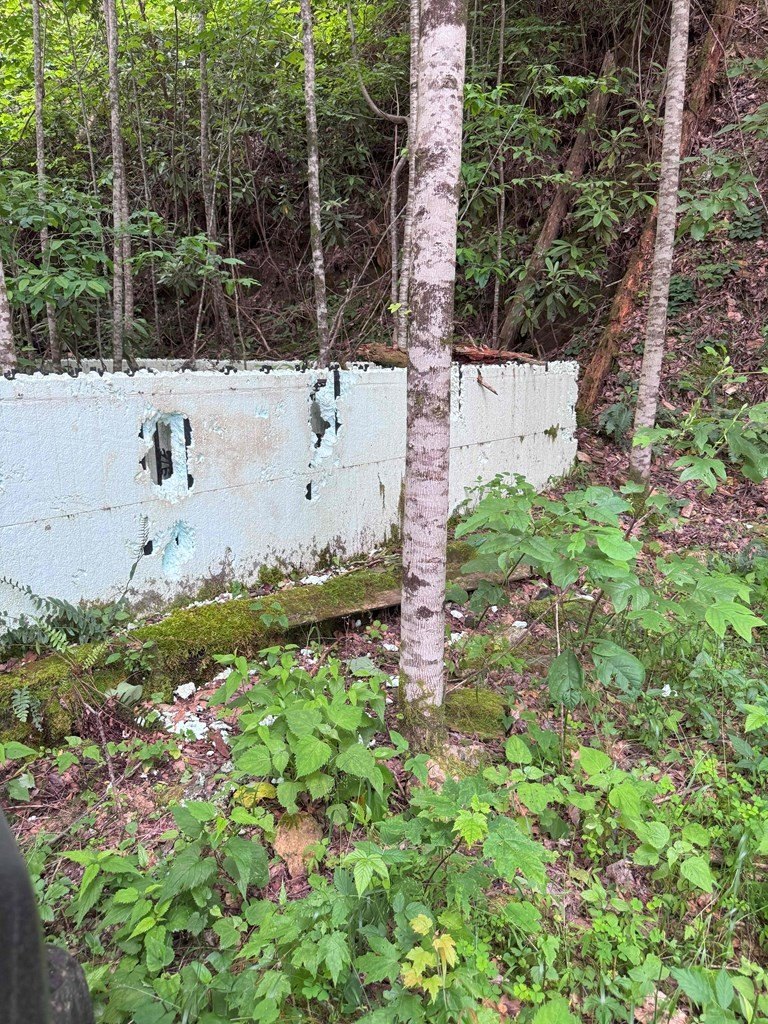 Other - 88 acres Bolden Branch, ANDREWS, NC