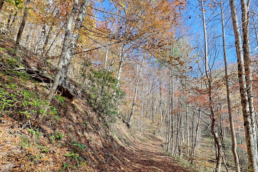 Other 1BR 1BA - 1307 Clear Creek Road, Hayesville, NC