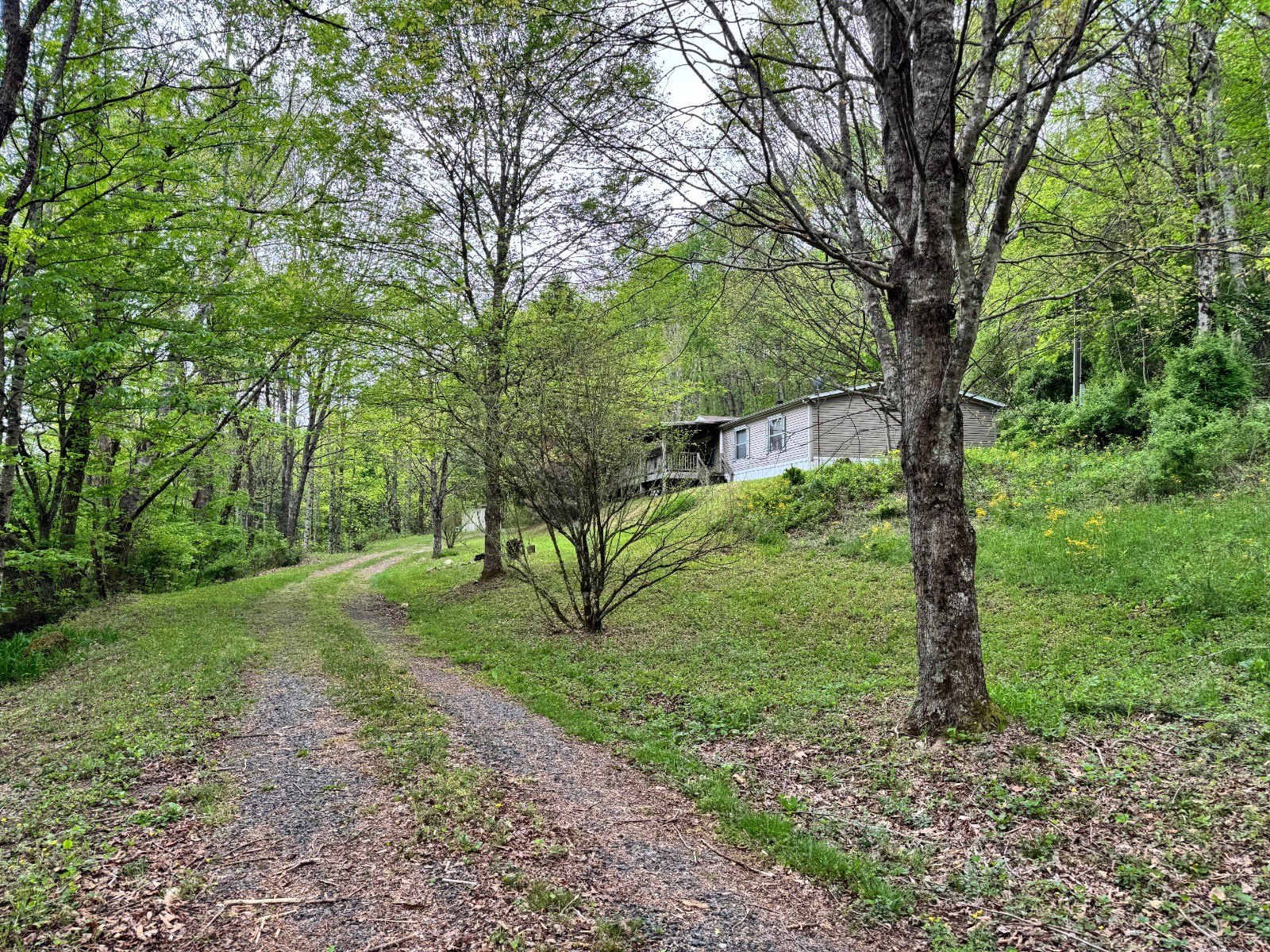 Other 3BR 2BA - 1640 Licklog Rd, Newland, NC