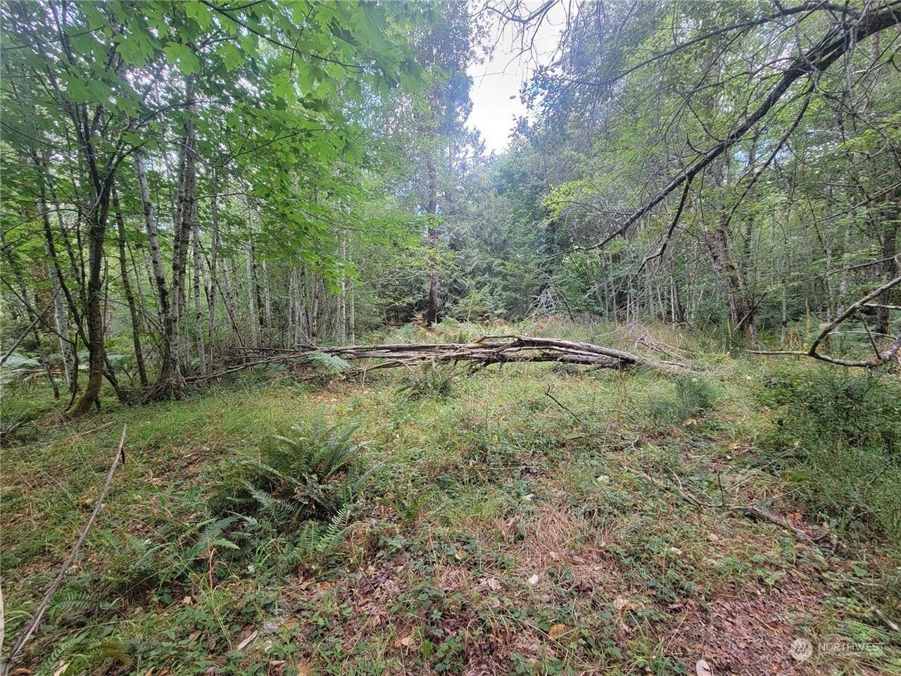Other - 900 930 East Wilson Way, Grapeview, WA
