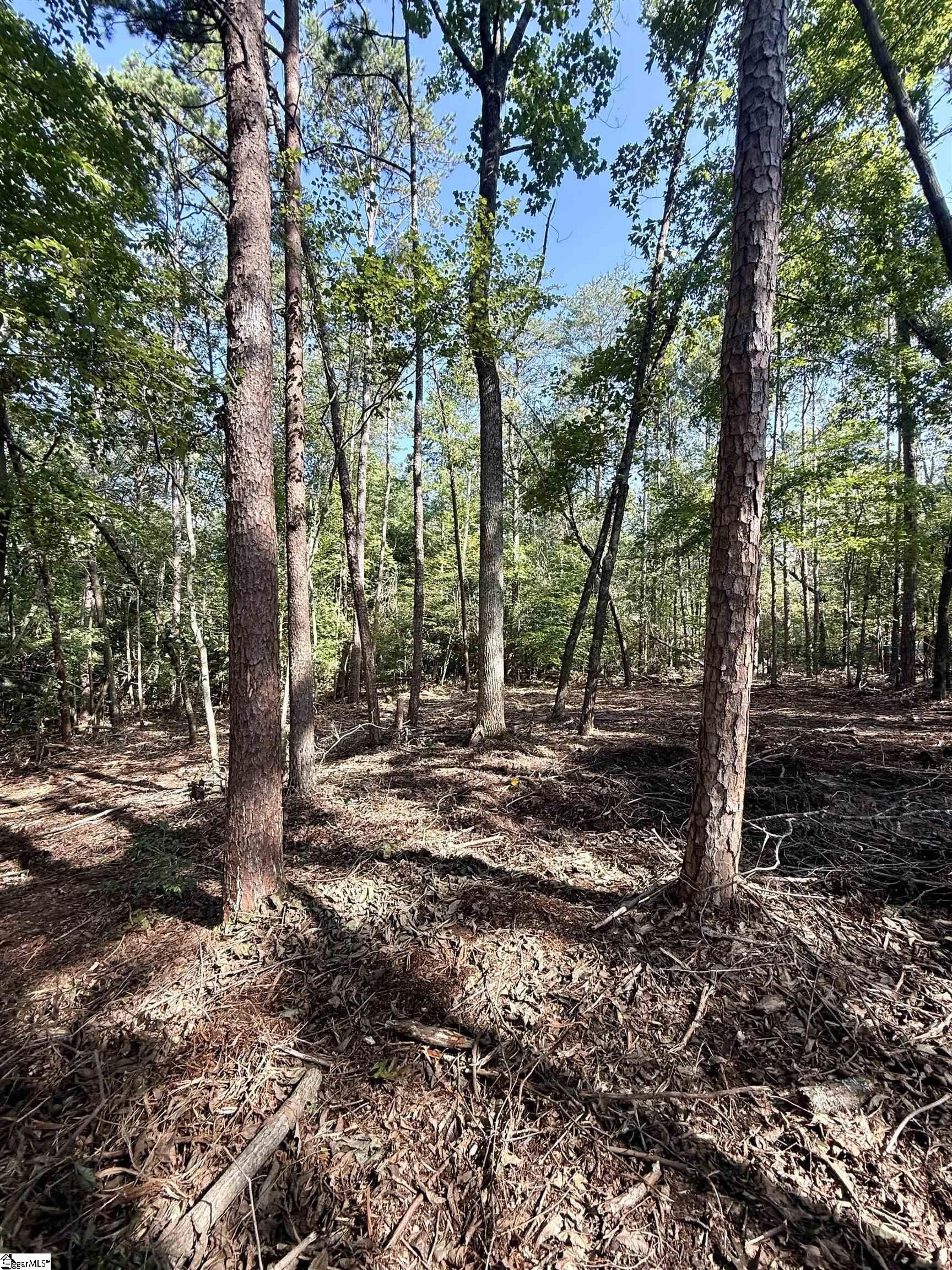 Other - Thompson Road lot: 3, Greer, SC