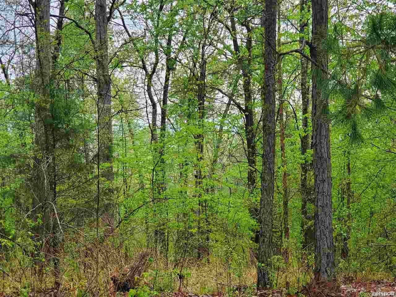 Single Family - lot 770A PLUM HOLLOW, Hot Springs, AR